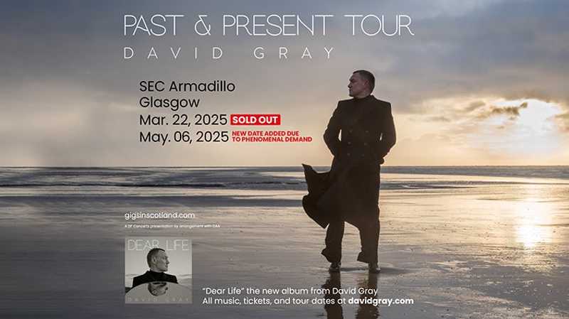 David Gray - David Gray