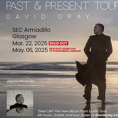David Gray - David Gray